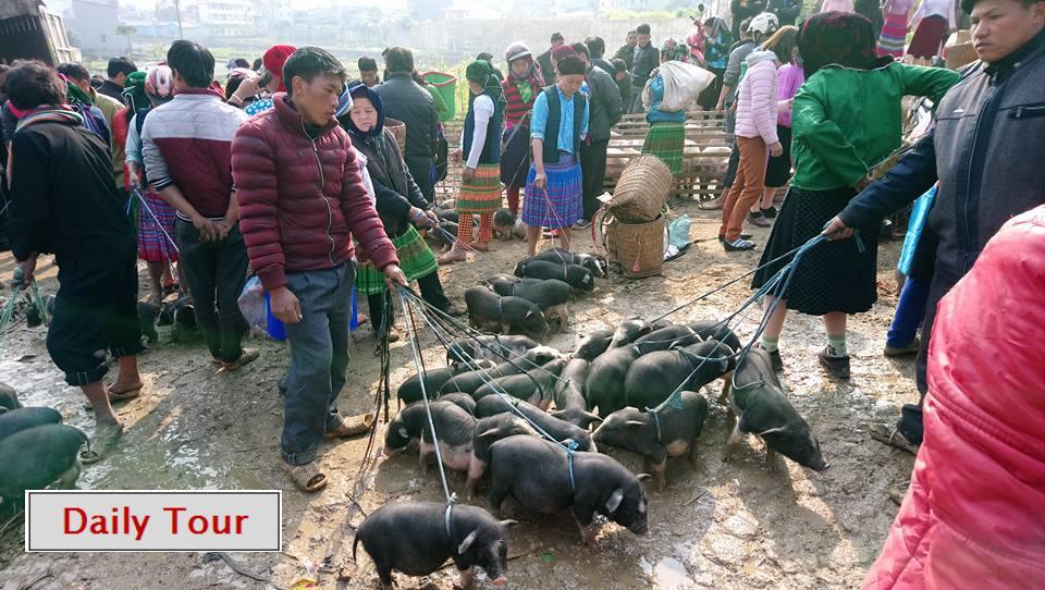 Ha Giang Amazing Hostel ภายนอก รูปภาพ
